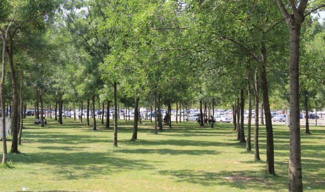 Hissedilen sıcaklığın 40 dereceyi aştığı Kocaeli&#039;de sahiller boş kaldı