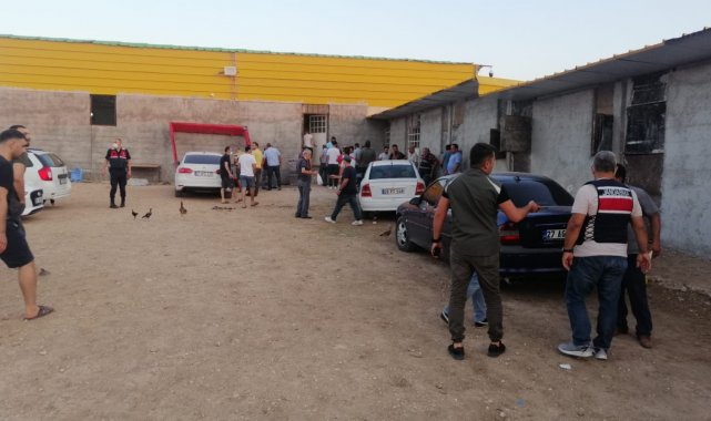 Horoz dövüştürülen çiftliğe baskın: 40 kişiye 60 bin lira ceza