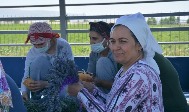 Hüdai Kaplıcalarındaki oteller alternatif tıp bitkilerini üretiyor