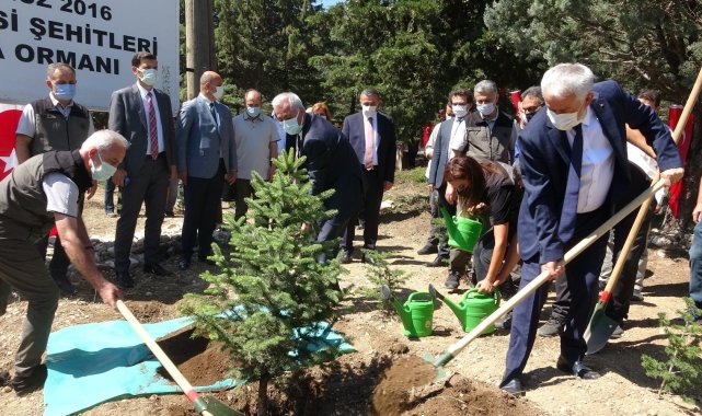 Isparta'da 15 Temmuz Ormanı'na fidan dikildi