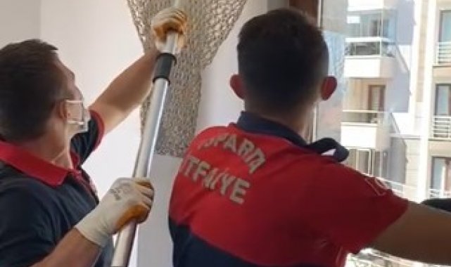 Isparta&#039;da eve giren yarasayı itfaiye çıkardı