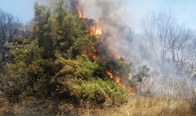 İzmir'deki yangında korku dolu anlar