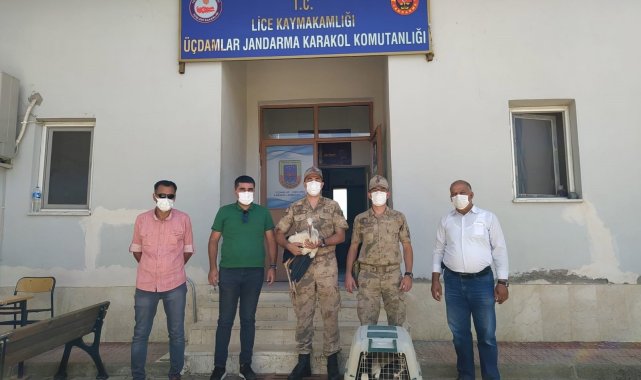 Jandarmadan Leylek yavrularına şefkat eli