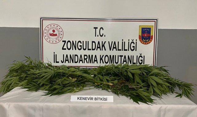 Jandarmadan uyuşturucu operasyonu: 2 gözaltı