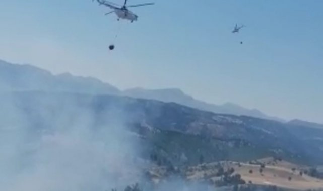 Kahramanmaraş'ta orman yangını