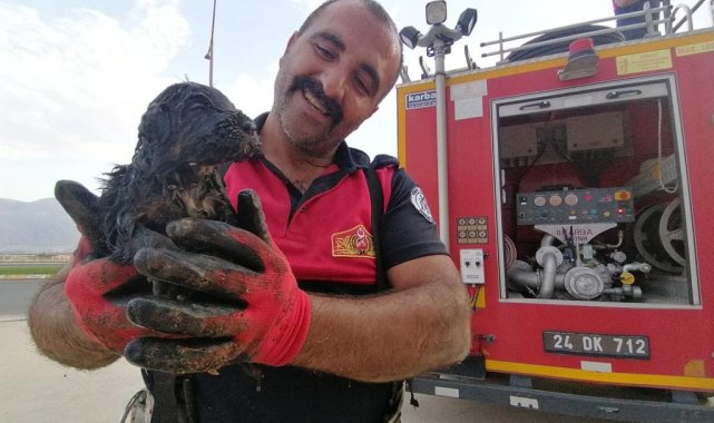 Kanalizasyon kuyusuna düşen yavru köpek itfaiye ekiplerince kurtarıldı