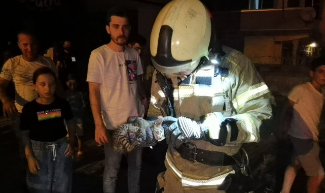 Kapı arasına sıkışan yavru kediyi itfaiye kurtardı