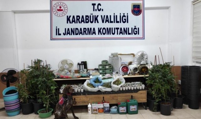 Karabük'te 149 kök kenevir ele geçirildi