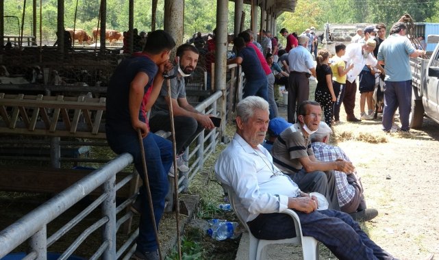 Karabük'te hayvan pazarında Arife Günü hareketliliği