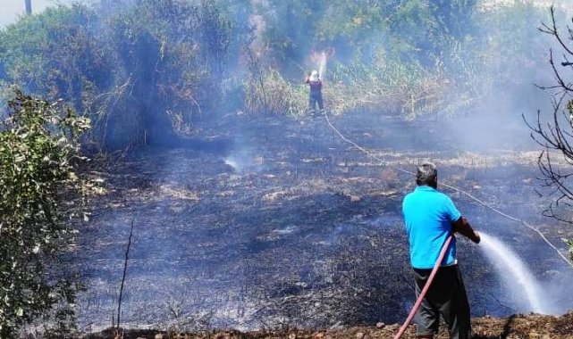Karacasu&#039;daki arazi yangını kontrol altına alındı