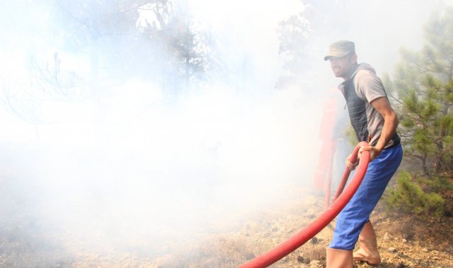 Karaman&#039;da orman yangını çıktı