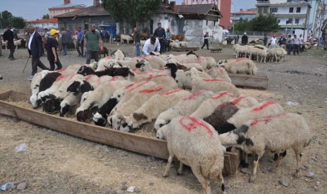 Kars'ta Kurban Pazarı'nda son gün yoğunluğu