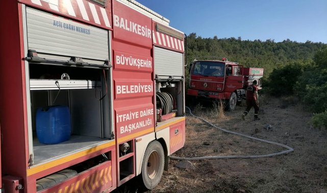 Kepsut'ta ormanlık alandaki yangın korkuttu