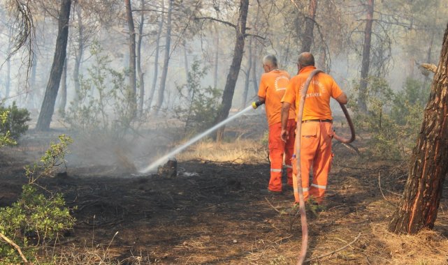 Kilis&#039;te kontrol altına alınan orman yangını yeniden alevlendi