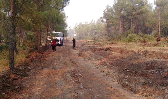 Kilis&#039;teki orman yangını kontrol altına alındı
