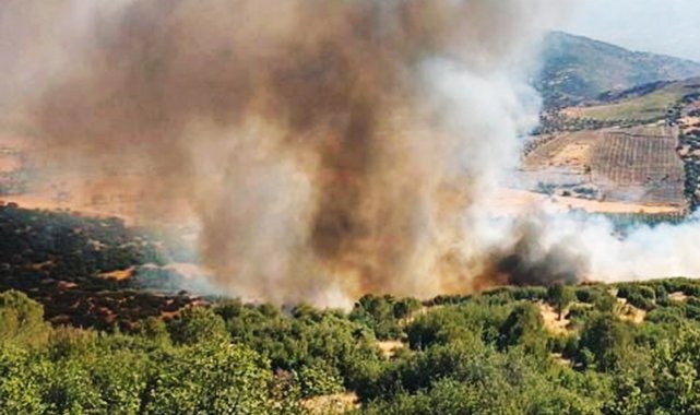 Köyceğiz&#039;de orman yangını başladı