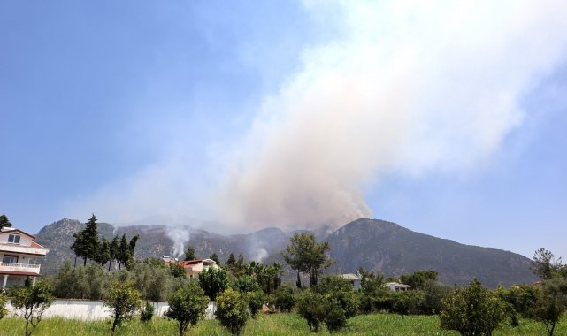 Köyceğiz'deki orman yangını devam ediyor