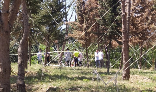 Küçükçekmece'de ağaca asılı erkek cesedi bulundu