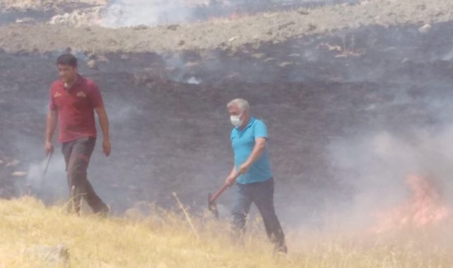 Kulp'ta 10 dönüm ormanlık alan yandı