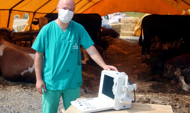 Kurbanlıklara gebelik kontrolü