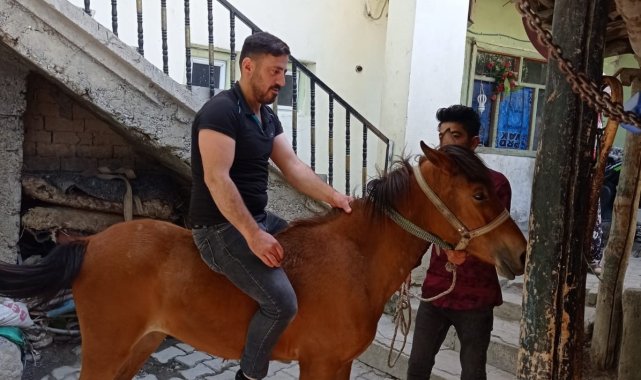 Kurtların saldırısına uğrayan at telef oldu