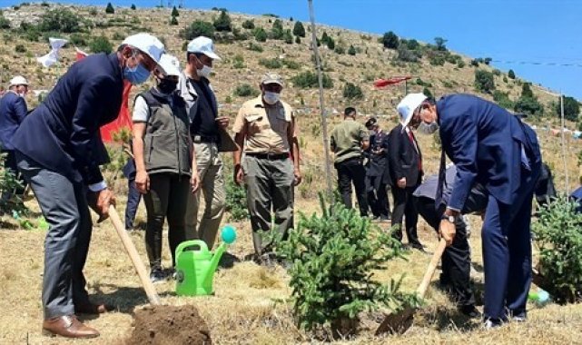 Kütahya&#039;da fidan dikimi