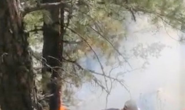 Kütahya&#039;daki orman yangını kontrol altına alındı