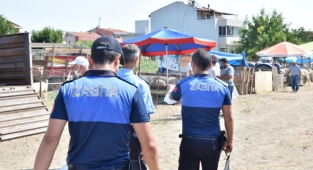 Lapseki'de kurbanlık hayvan pazarı kuruldu