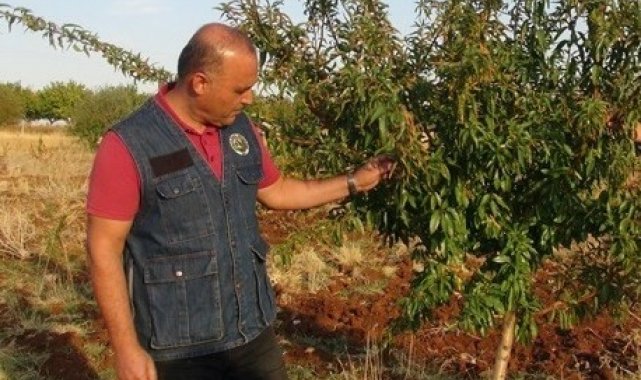 Malatya'da piknik yapanlara yangın uyarısı