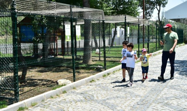Mamak&#039;ın mini hayvanat bahçesi ilgi odağı oldu