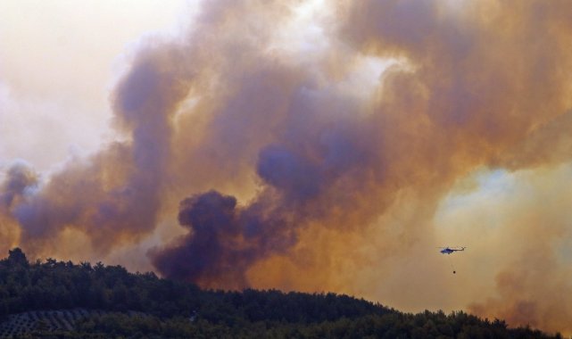 Manavgat'ta ormanlık alandaki yangına havadan ve karadan müdahale sürüyor