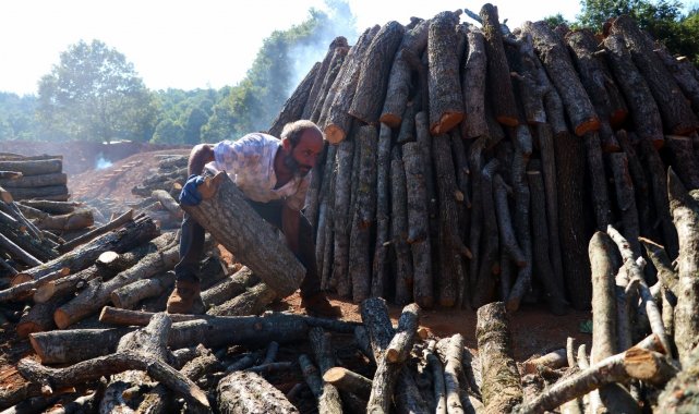 Mangal kömürünün zorlu yolculuğu