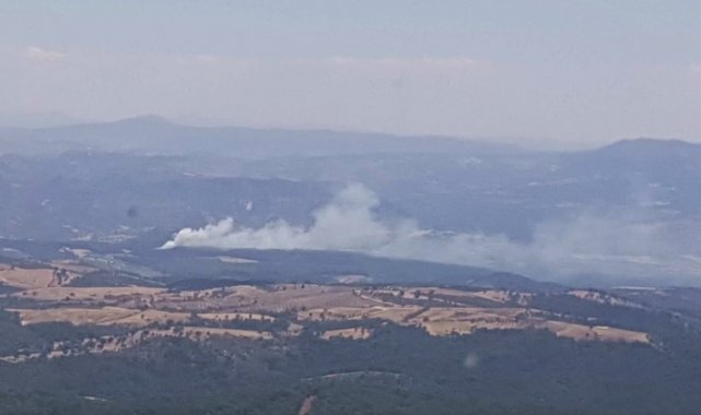 Manisa&#039;da orman yangını kontrol altına alındı