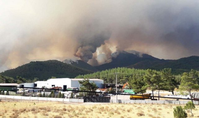 Marmaris'teki yangına 1 uçak 8 helikopterle müdahale ediliyor