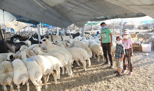 Meram Belediyesi Kurban Bayramı'na hazır