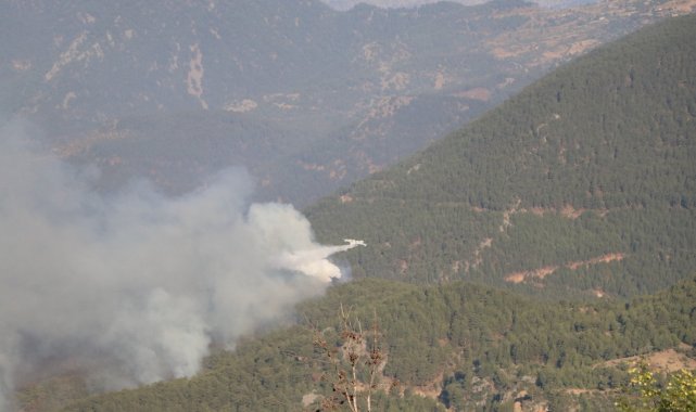 Mersin&#039;deki orman yangını devam ediyor