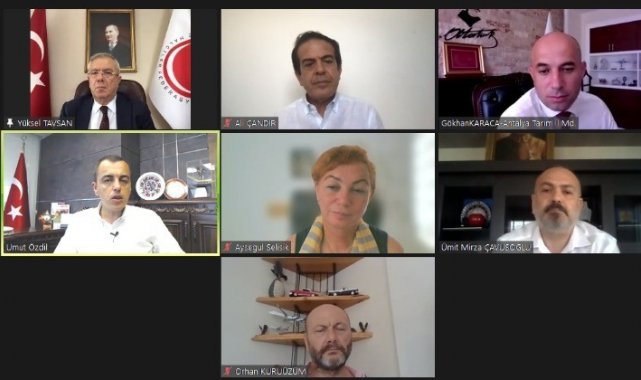 Meyve sebzenin yarısı çöpe gidiyor