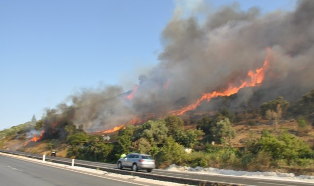 Muğla'da orman yangınları korkutuyor