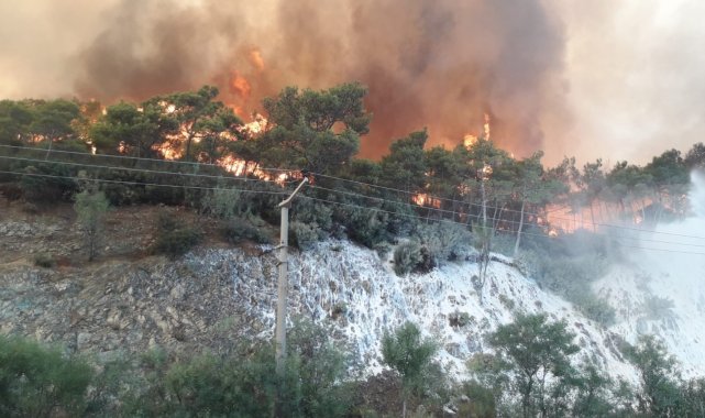Muğla'nın bazı bölgelerinde yangın dolayısıyla elektrikler kesildi