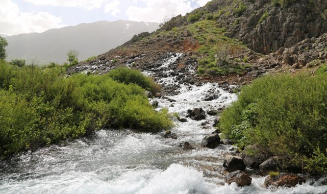 Munzur Vadisi Milli Parkı'nın insan etkileşimine kapatılması çağrısı