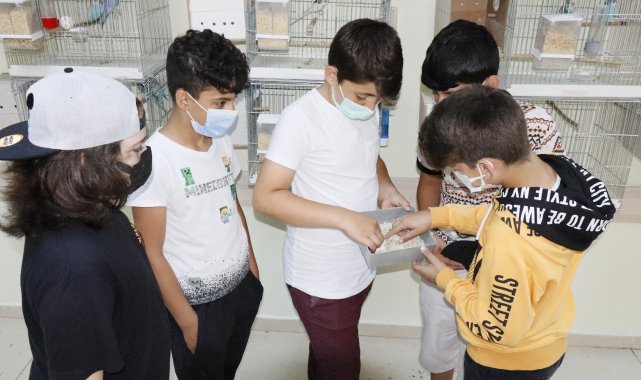 Okul kuşhane, öğrenciler üretici oldu