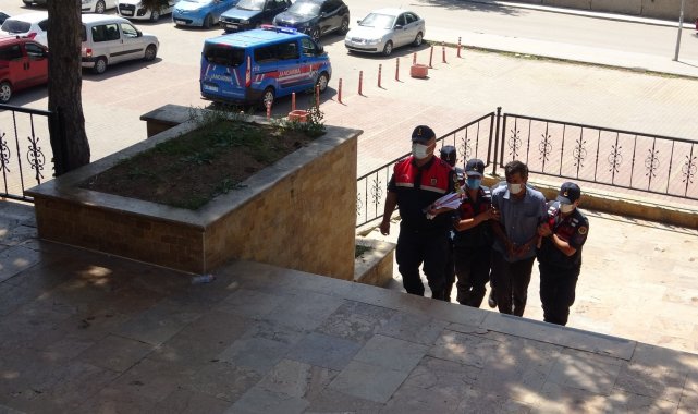 Orman yangınının şüphelisi adli kontrol şartıyla serbest bırakıldı