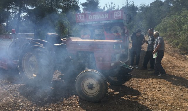 Osmaneli&#039;de 10 hektar ormanlık alan yandı