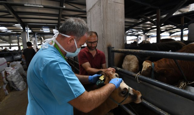 Osmangazi'de sağlıksız ve küpesiz kurbanlıklara yer yok