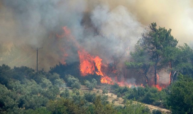 Osmaniye&#039;de çıkan orman yangını devam ediyor