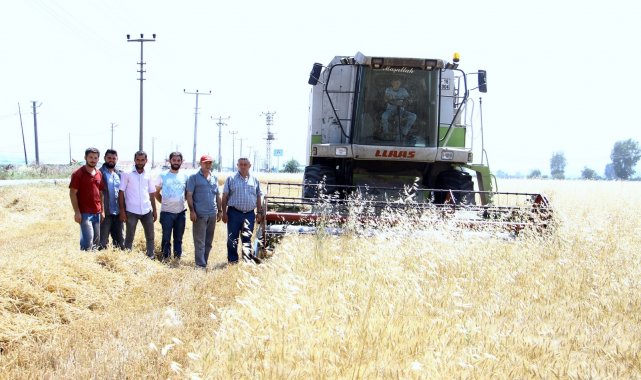 Para kazanamayan çiftçi ekim yapmıyor