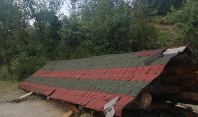 Piknik yaptıkları kamelyanın altında kaldılar