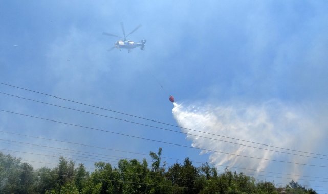 Portakal bahçesine sıçrayan yangın büyümeden söndürüldü