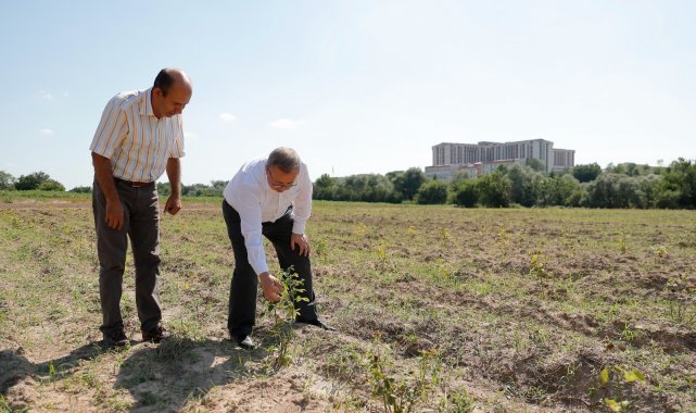 &quot;Edirne Gülü Bahçesi&quot; oluşturuldu