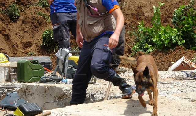 Rize'de yıkılan binadaki arama kurtarma çalışmalarına Kito ve Abrek de destek veriyor